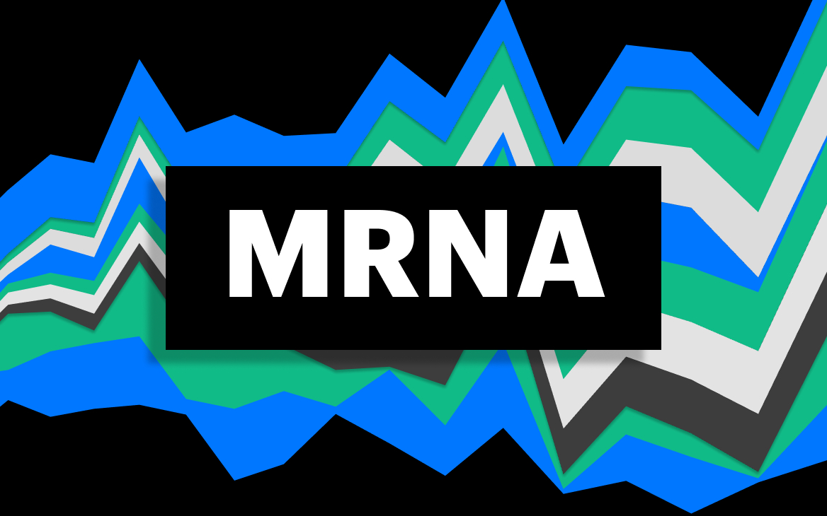 Фото: РБК Инвестиции