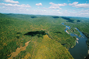 "Уссурийская тайга
