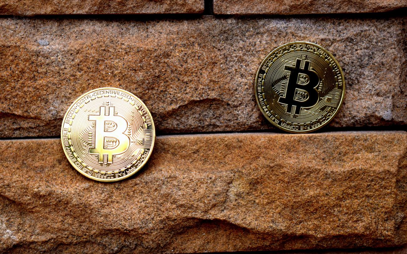 Фото: Kanchanara / Unsplash