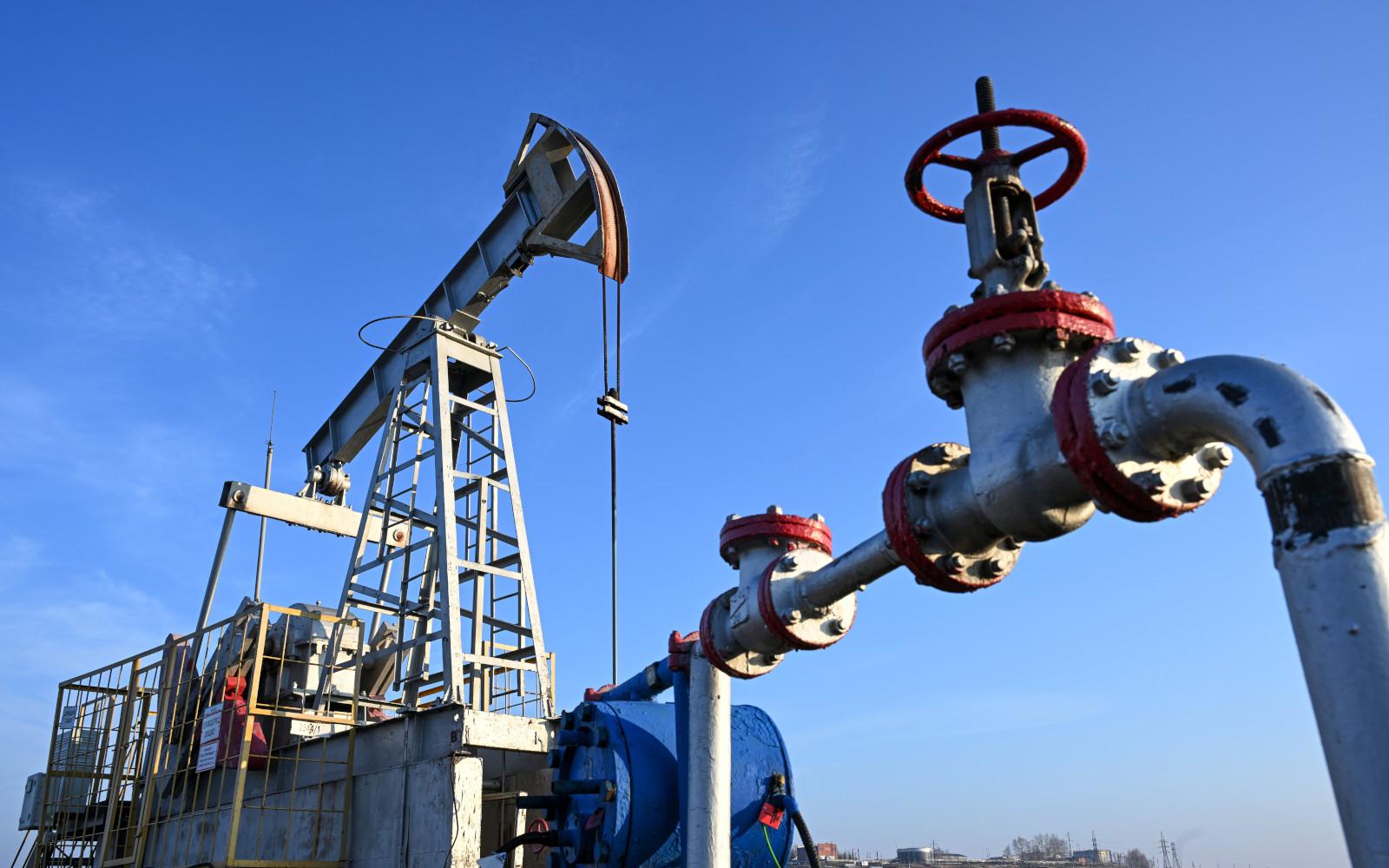 Фото: Максим Богодвид / РИА Новости