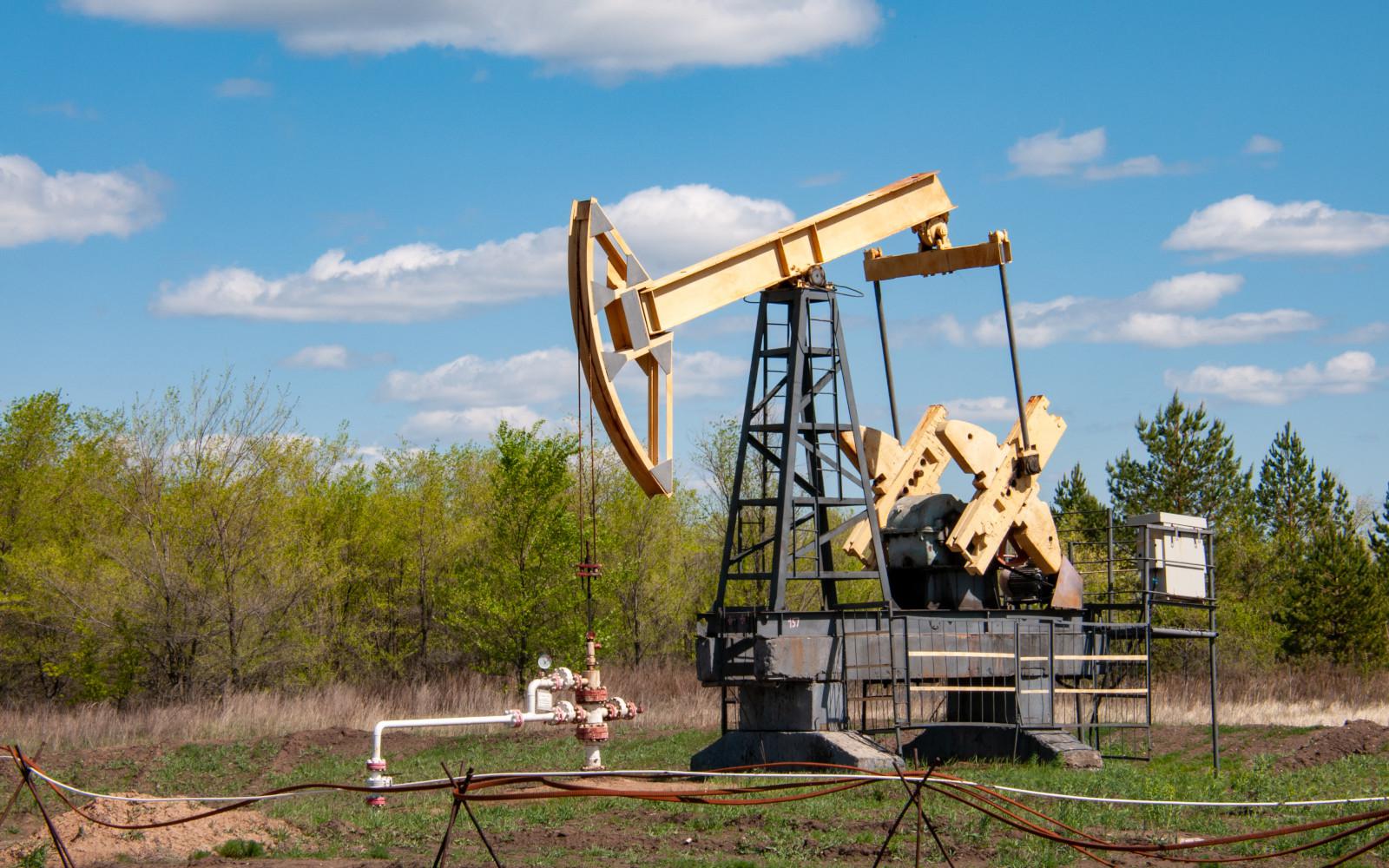 Фото: Svetlana Vozmilova / Global Look Press