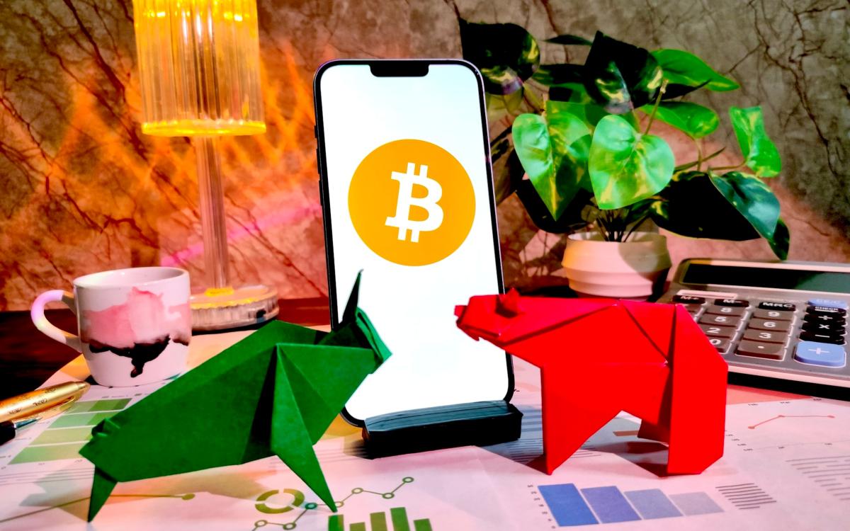 Фото:  Stock all / Shutterstock.com