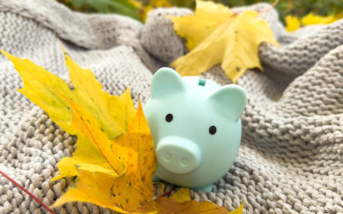 Фото: Shutterstock