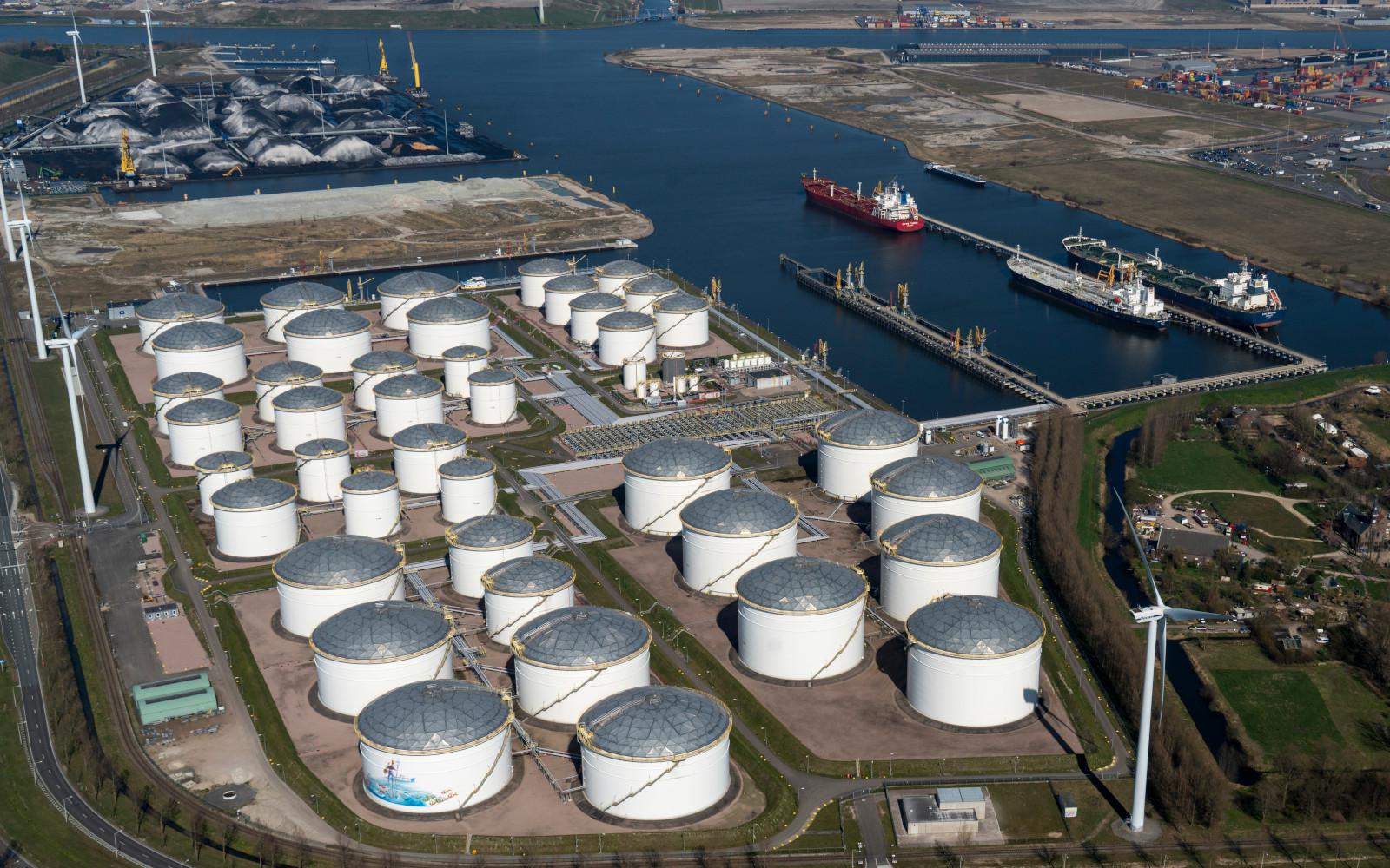 Фото: Shutterstock