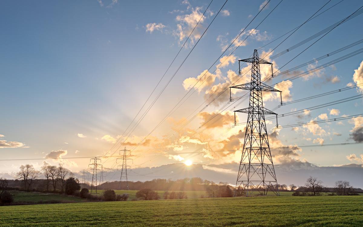 Фото: Shutterstock